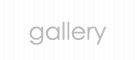 gallery button